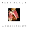 Jeff Black A Walk In The Sun